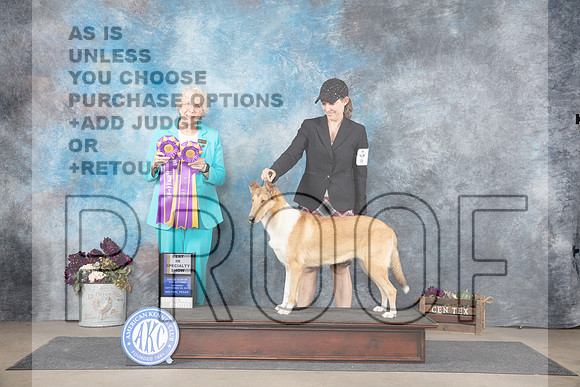 Collie Smooth #6 Sat BISS Judge Sulie Greendale-Paveza__JP_7430_Belton_2024_HR3