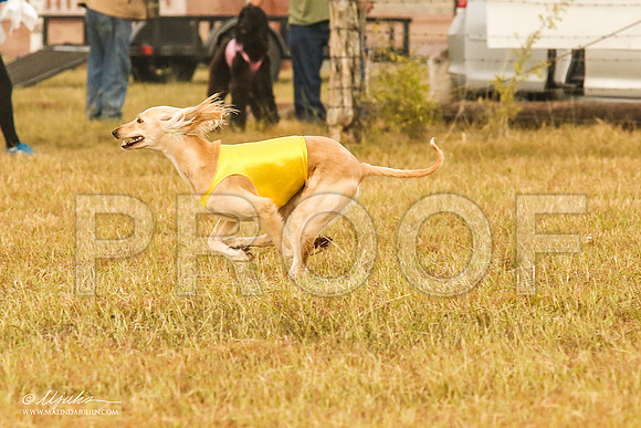 _MJ_3683-AfgBeltonOct2014-HR3