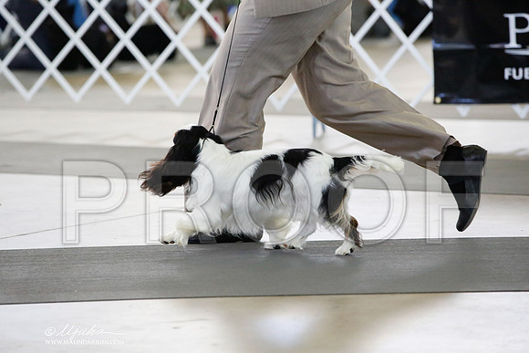 _CK_3343-DallasJul2014-HR3