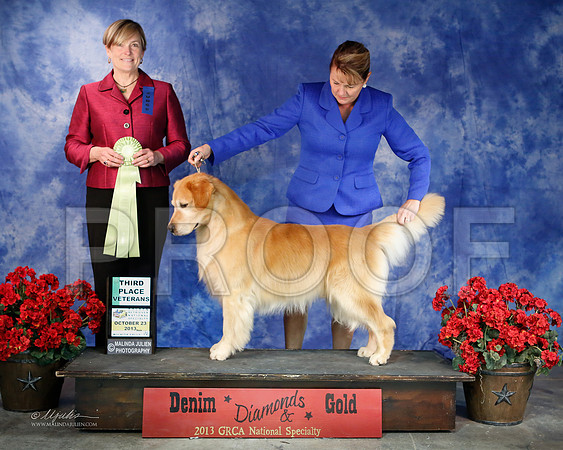 SweepsVet-6386-WFOct2013-HR