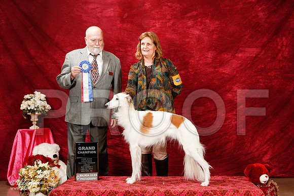 _ST_2225-2-BeltonJan2015-HR3