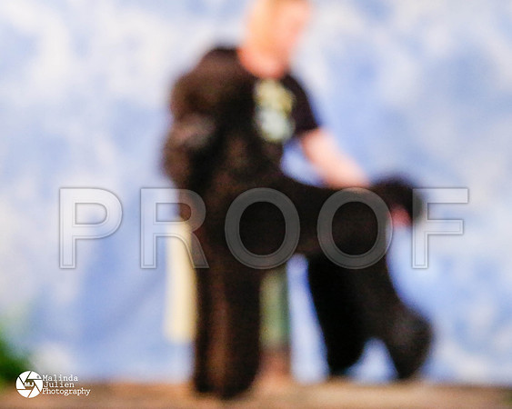 PoodSt-1074-HstnMar2014-HR3
