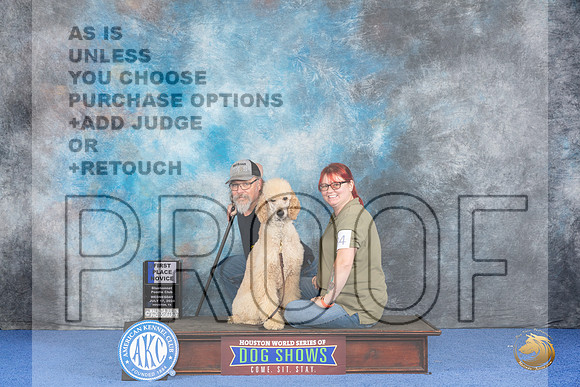 Poodle Standard #84 WED 1st RN Judge Richard Mullen__JP_6909_Houston_2024_HR3