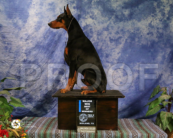 dobe-8165-MidFeb14-HR