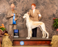 Saluki #5 Sat G1 Judge Tim Catterson