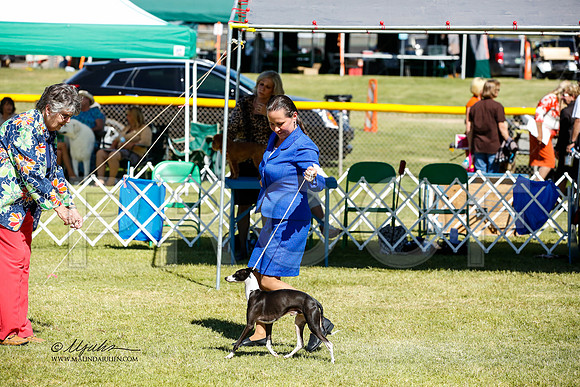 _JN_1179-AlamogordoOct2014-HR3