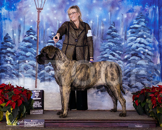 _ST_8459-DallasDec2014-HR3
