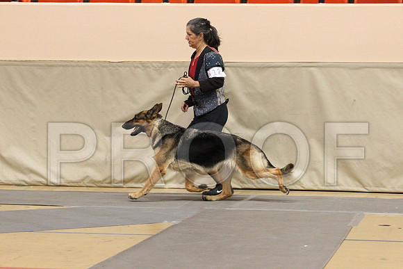 MJS_4747