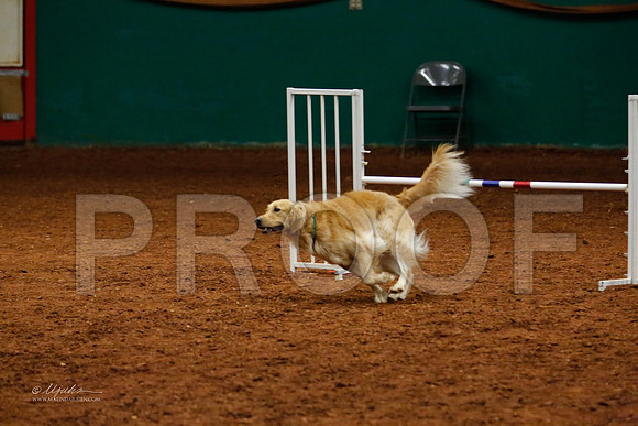JwwOpen20-3117-WFOct2013-HR