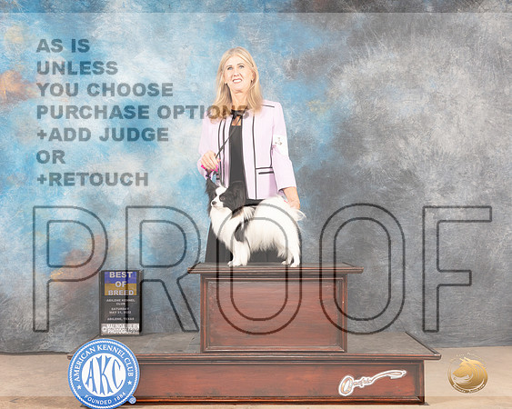 Papillon #5 Sat BOB Judge Peggy McIlwaine-MMJ_4282-Abilene2022-HR3