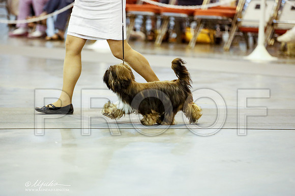 _JN_6249-HstnJul2014-HR3