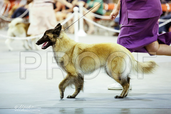 _JN_9488-HstnJul2014-HR3
