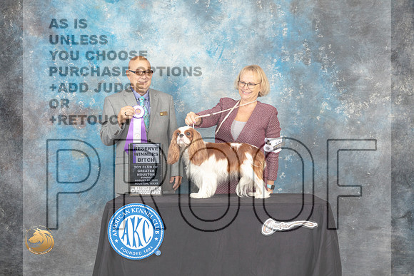 Cavalier King Charles Spaniel #14 Sun RWB Judge Bradley Jenkins_MJ_0391_HstnTOY_2022_HR3