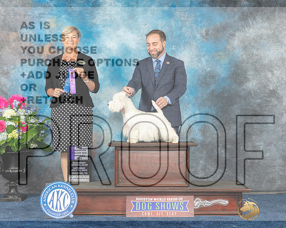 West Highland White Terrier #21 Sat WD NC MAJ Judge Cheryl Paterson-MJP_5867e-Hstn2023_HR3