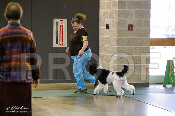 _LH_2847-BeltonJan2015-HR3