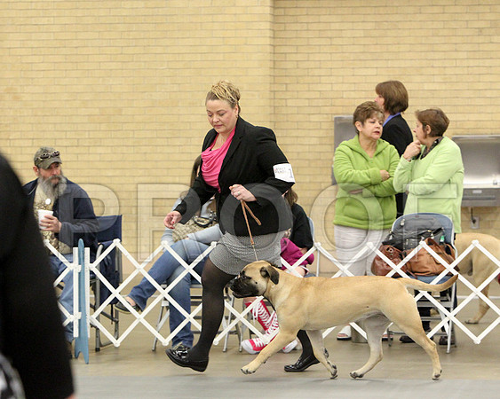 6-9PupSweeps-6853