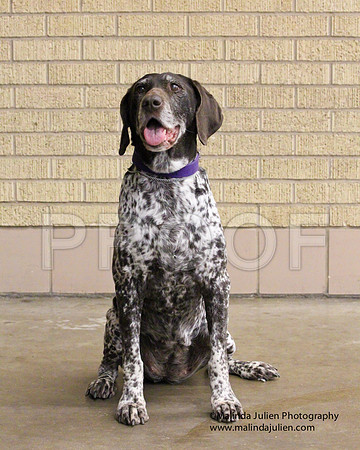 GSP-0163