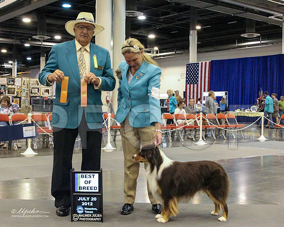 WPBob-3469 PROOF
