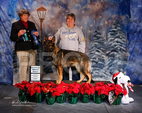 GSD-5868-MrshlDec13-HR