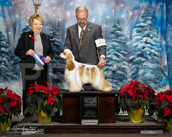 _ST_8933-DallasDec2014-HR3