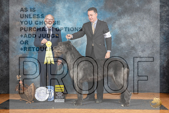 Irish Wolfhounnd #8 Fri G3 Judge Tim Robbins__JP_7363_MARSHALL_2024_HR3