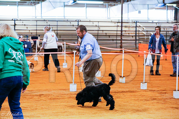 _RH_4653-MarshDec2014-HR