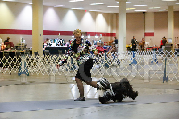 _JJ_0161-AmarilloSept2014-HR3