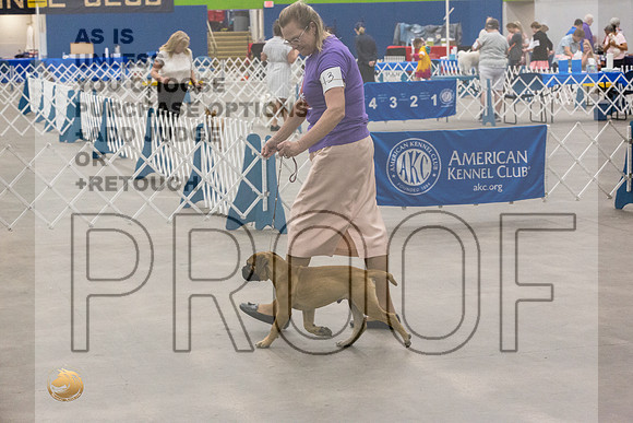 *B Match Rings-JJL_0214-Abilene2022-HR3