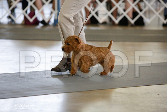 _JJ_2275-DallasJul2014-HR3