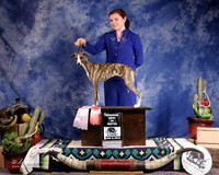 Whippet Sun RBIM Denise Red Tatro