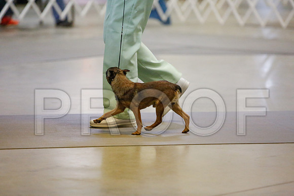 _JJ_8822-AmarilloSept2014-HR3