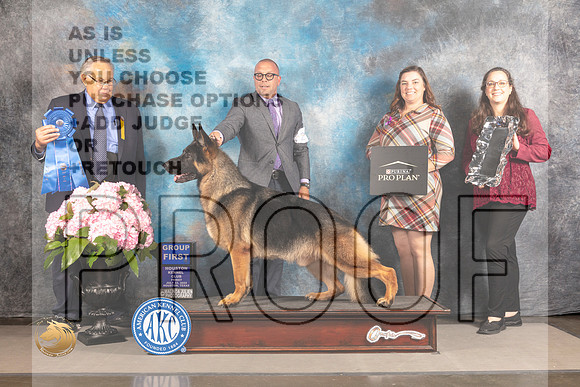 German Shepherd Dog #29 FRI G1 Judge John Wade_MJ_5962_Houston_2022_HR3