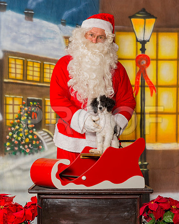 _ST_1557-MrshllDec2016©JulienLambertPhoto.com-HR3