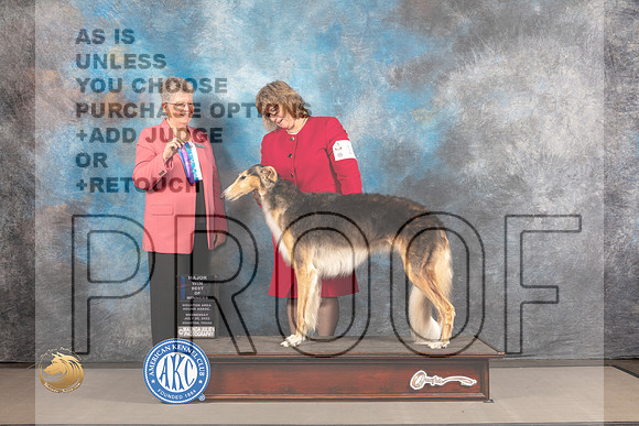 Borzoi #10 WED BOW Major Judge Sylvie McGee_MJ_1889_Houston_2022_HR3