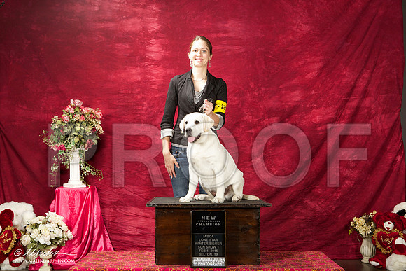 _ST_2739-BeltonJan2015IABCA-HR3