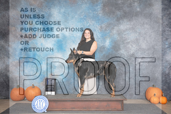 Beauceron #5 Sat BOW Judge Ray Filburn__JP_8715_Humble_2024_HR3