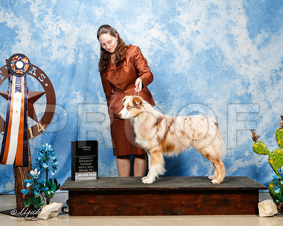 _ST_5149-2-ASCAnov2014-HR3