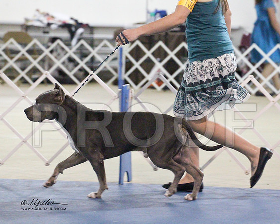 APBT-9652
