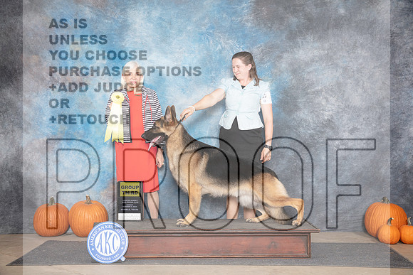 German Shepherd Dog #7 Sun G3 Judge Jan Paulk__JP_9563_Humble_2024_HR3