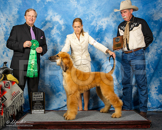 _ST_4592-AfgBeltonOct2014-HR3