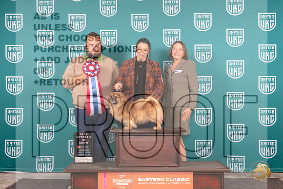 Tibetan Spaniel #318 Sat VBIS Judge William Chrazanowski__JP_2146_UKCEastern_2024_HR3