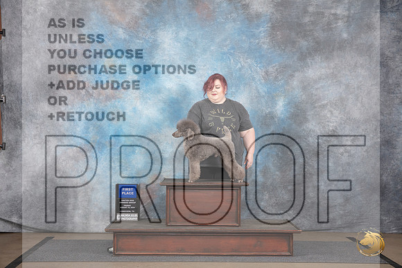 Poodle Miniature # Fri No Judge__JP_2327_LongviewTX_2024_HR3