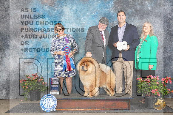 Chow Chow #5 Sat RBIS Judge Elizabeth ‘Beth’ Sweigart__JP_5594_San Antonio_2024_HR3