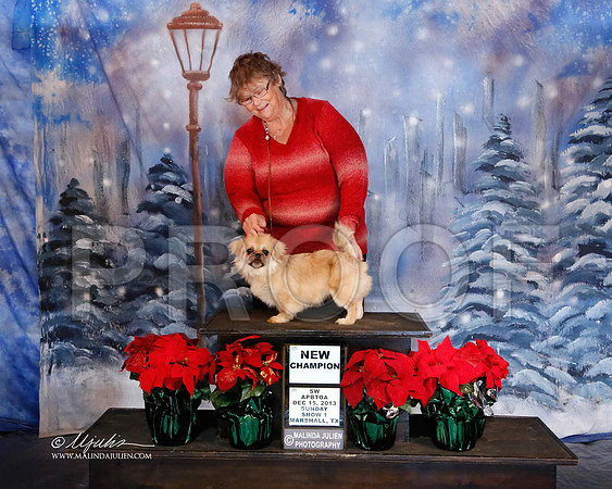 _J8_6479-MrshlDec13-HR