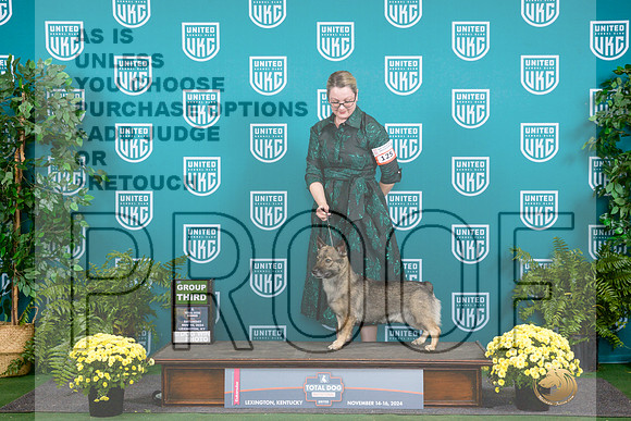 Swedish Vallhund #125 Sat G3__JP_2614_UKCTDI2024_HR3