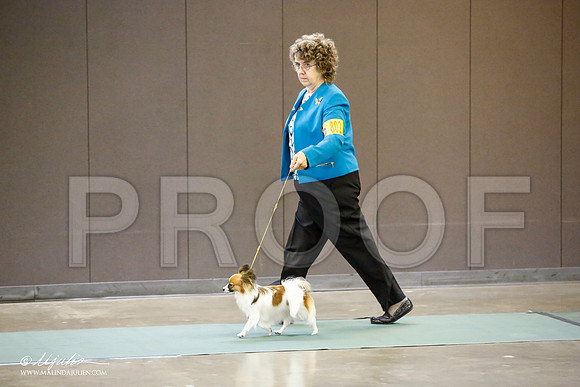 _JN_5741-BeltonJan2015-HR3