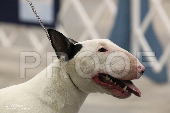 IMG_8058-Abilene2011-HR3