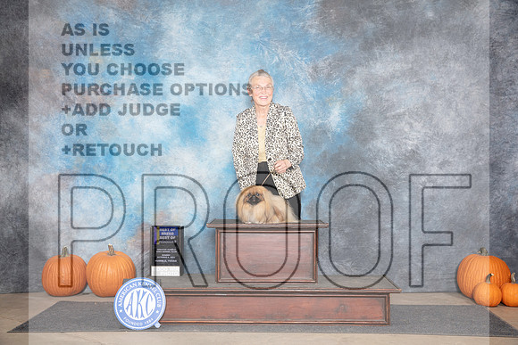 Pekingese #6 Sun BOBBOWWB Judge Tim Catterson__JP_9419_Humble_2024_HR3