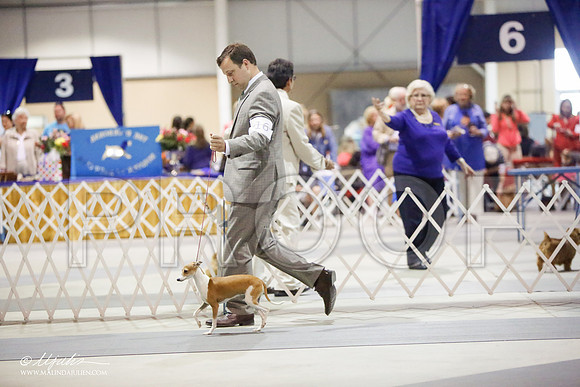 _HR_4622-SAJul14-HR3