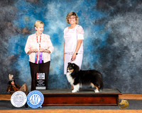 Christa Medaries Marshall 2024